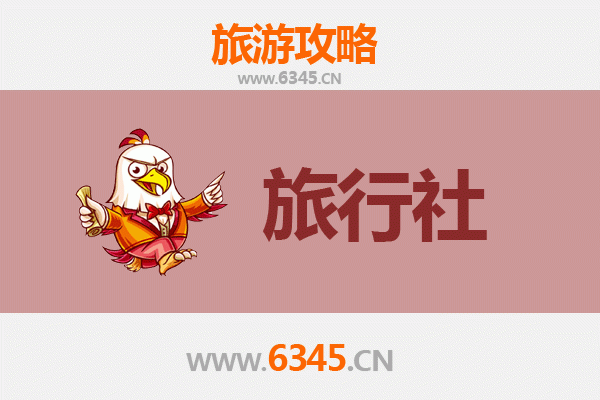三亚河东区街道本地旅行社深度推荐：解锁椰城隐秘玩法