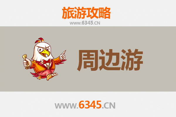 三亚河东区街道漫游指南：探索城市脉动与本土风情